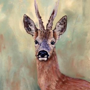 Roe Deer Wildlife Art
