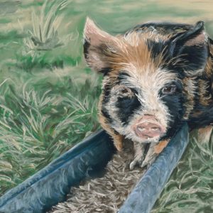Farm Animals Pastel Artwork