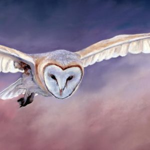 silent hunter owl pastel art