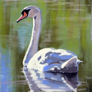 Swan2