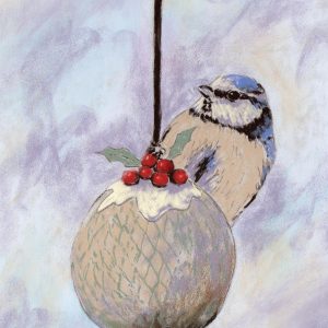 Christmas Pudding (Bluetit)- Christmas cards
