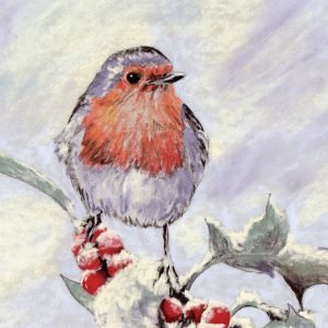 Robin and Holly - Christmas cards