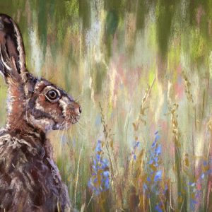 A Watchful Hare