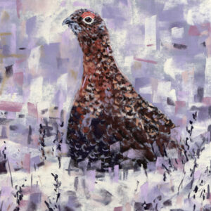 Red Grouse - Christmas cards