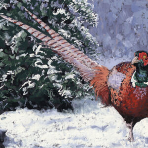 Pheasant in Snow - Christmas cards