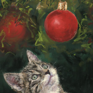 Tabby Cat - Christmas cards