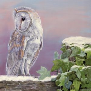 Winter Barn Owl - Christmas cards