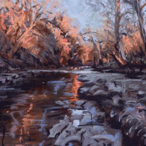 River Study (River Cover)